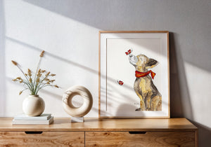 Hund Coco