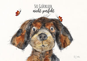 Hund Kuno - "Sei glücklich nicht perfekt"
