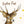 Hirsch Stardust - 