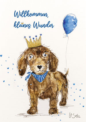 Hund Benji - "Willkommen kleines Wunder"