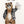 Bär Henry - 