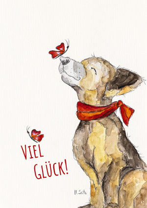 Hund Coco - "Viel Glück"