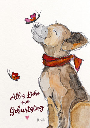 Hund Coco - "Alles Liebe zum Geburtstag"