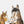 Pferde Lucky und Onni