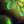 Deep Forest