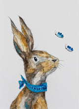 Hase Luca