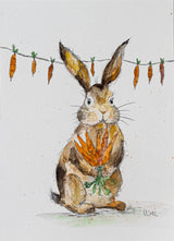Hase Marc