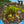 Piratenhöhle mit Goldschatz