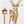 Postkarten-Set (Dummy)